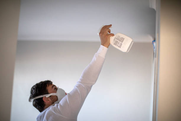 Best Commercial Mold Removal  in Kaanapali, HI